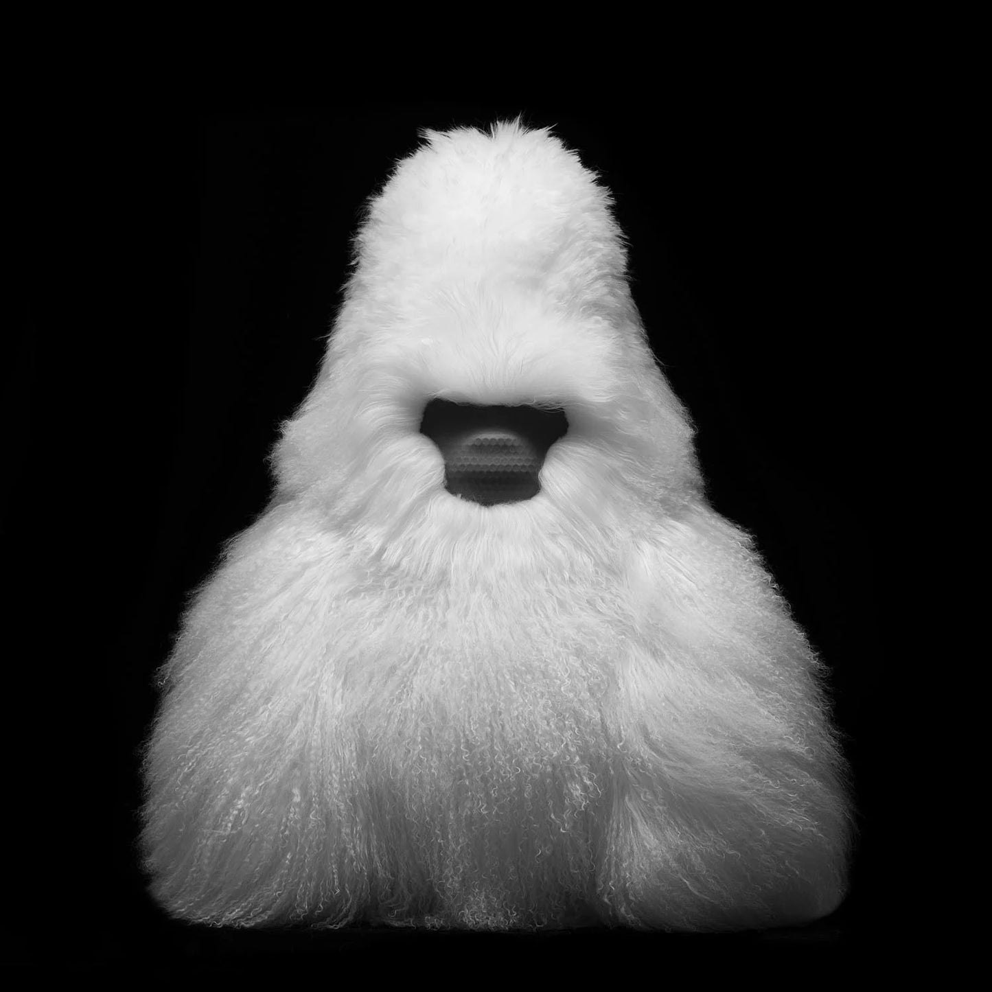 Speaker David I - Plush Ape